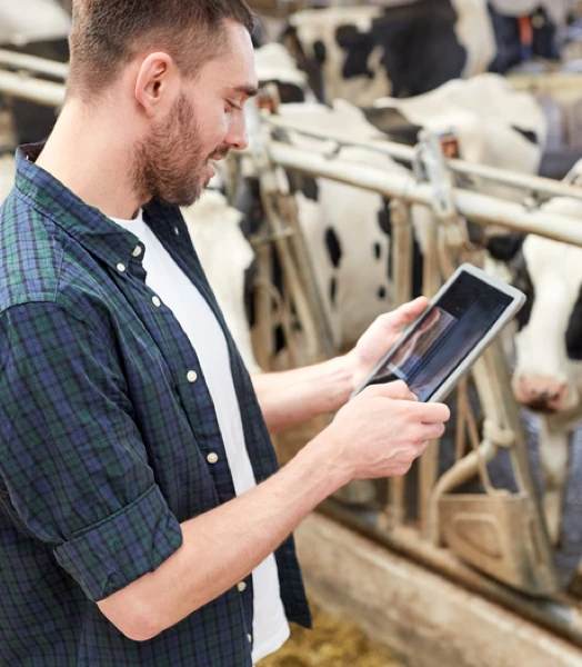 Onze aanpak en waarden